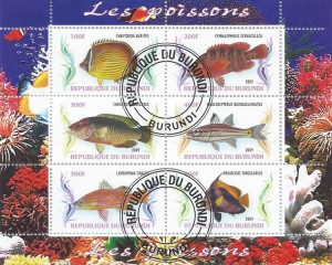 CINDERELLA: Tropische Vissen / Tropical Fish (3) - Burundi - 2009