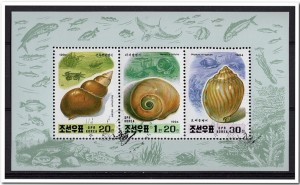 Schelpen / Shells - DRP Korea - 1994