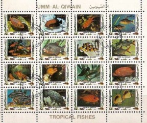 Tropische Vissen / Tropical Fish - Umm Al Qiwain - 1972