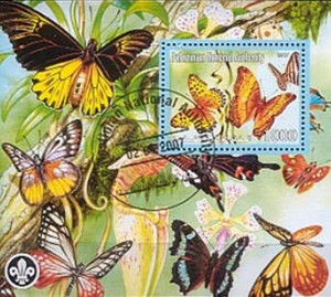 CINDERELLA: Vlinders / Butterflies - Palestinian - 2007
