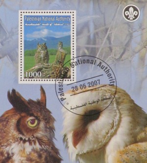 CINDERELLA: Uilen / Owls - Palestinian - 2007