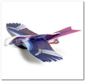 Vogel van foam / Bird glider