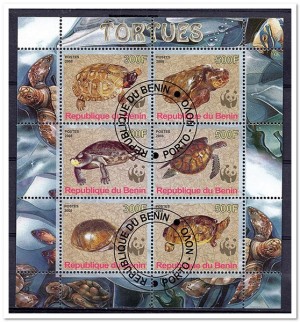 CINDERELLA: Schildpadden / Turtles - Benini - 2008