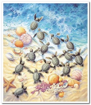 Green Turtle Hatchlings - SunsOut - 550 Stukjes