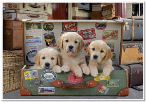 Puppies in the Luggage - Educa - 500 Stukjes