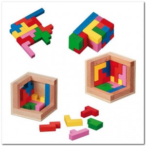 Pentominos Puzzel - Philos