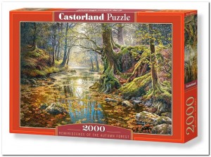 Reminiscence of the Forest - Castorland - 2000 Stukjes