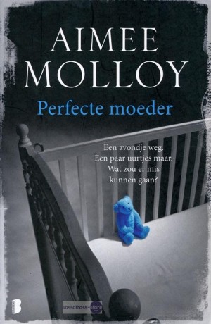Aimee Molloy ~ Perfecte moeder