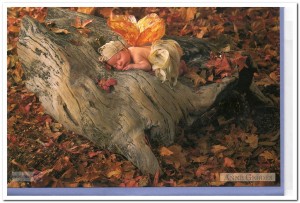 Wenskaart met enveloppe: Anne Geddes (1997): Woodland Fairy