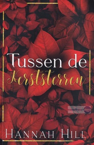Hannah Hill ~ Tussen de kerststerren