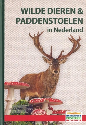 Wilde Dieren & Paddenstoelen in Nederland