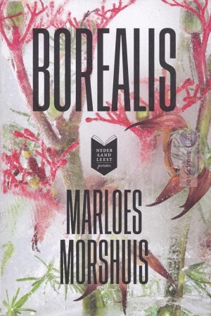 Marloes Morshuis ~ Borealis