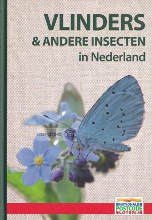 **Gratis** Vlinders & andere insecten in Nederland