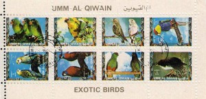 Exotische Vogels / Exotic Birds (1) - Umm Al Qiwain - 1972